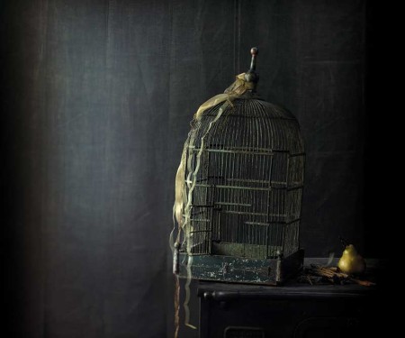 ouverture-cage