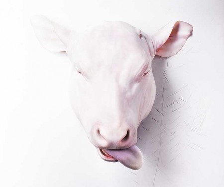 tete-de-veau-1